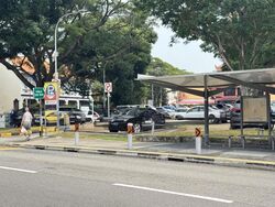 Joo Chiat Place (D15), Shop House #619484121
